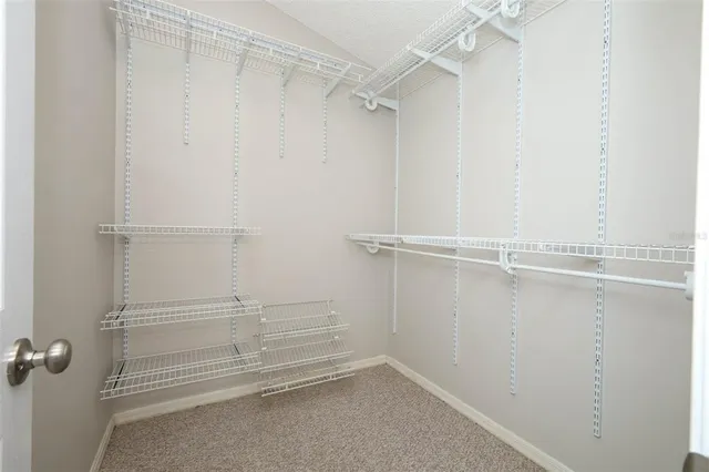 a view of a backyard with plants and garden