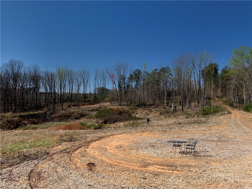 4543 Mountain Spring Road Germanton, NC 27019 - Photo 5 of 25 Gallery Image 5