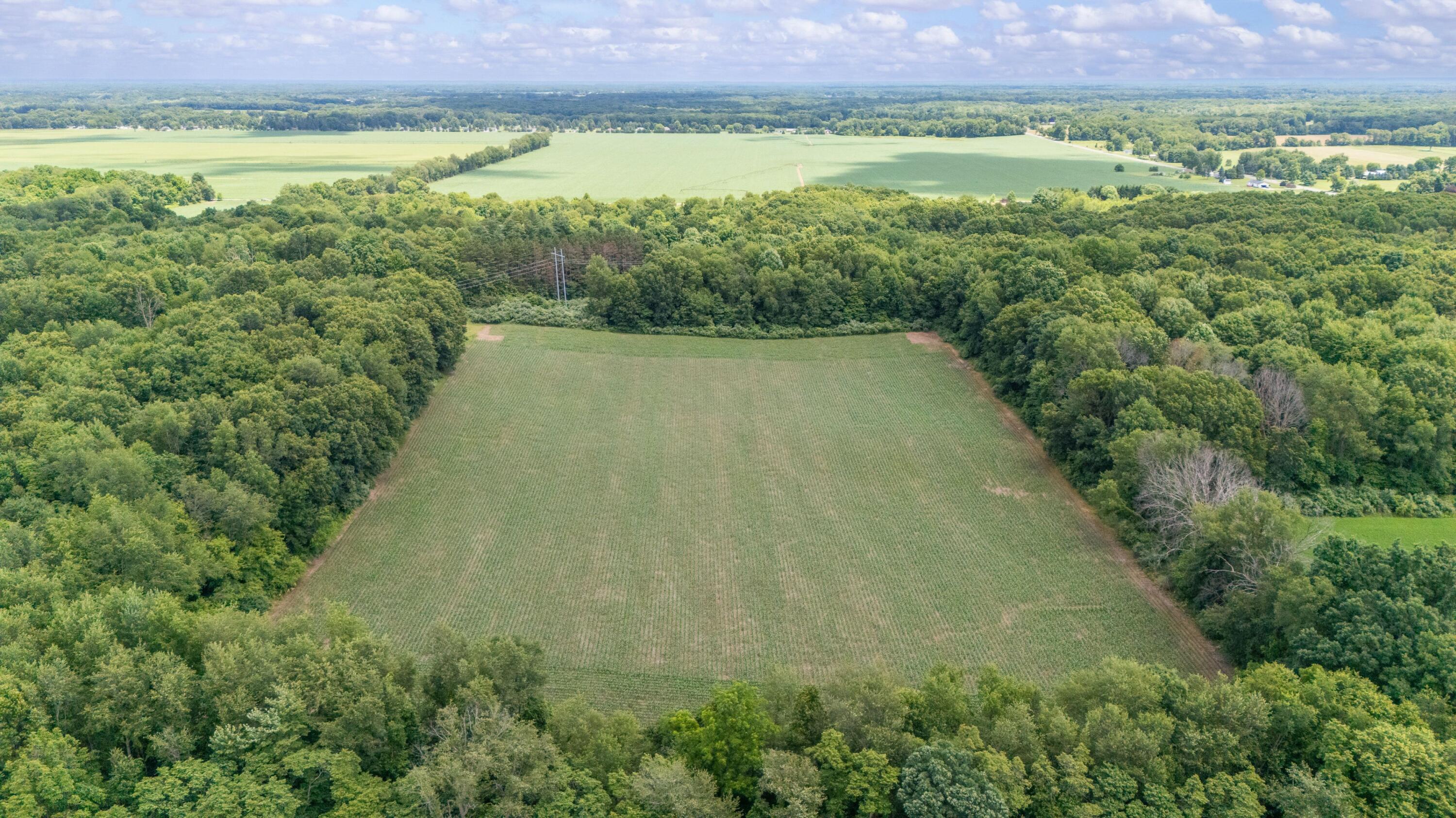 52402 Oak Plains Road Marcellus, MI 49067 - Photo 16 of 59 16DJI_20260626020721_0043_D