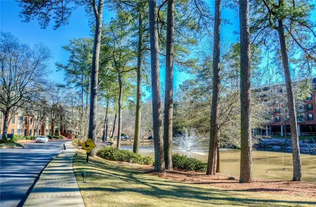 a view of a yard with large trees