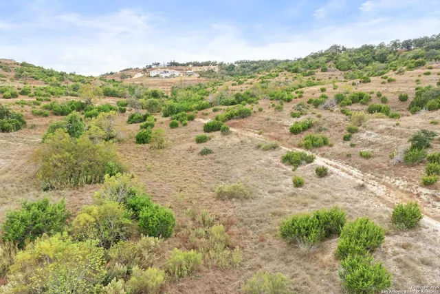 a view of a large yard with lots of green space