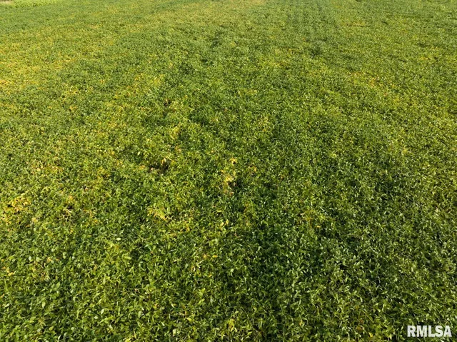 $152,500 | 0 North Hickory School Road, Industry, IL 61440