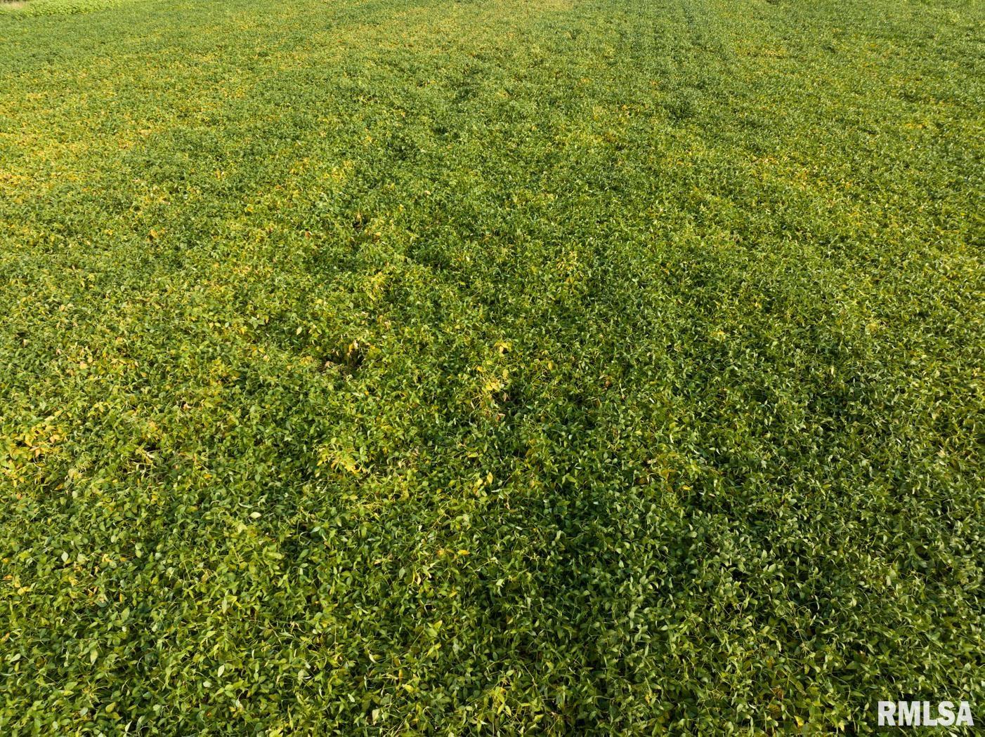 0 North Hickory School Road Industry, IL 61440 - Photo 7 of 17