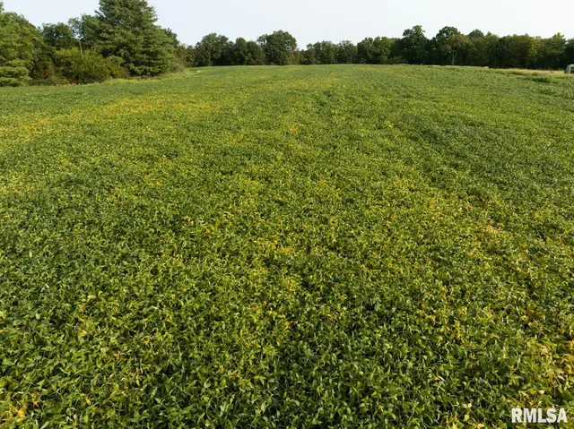 $152,500 | 0 North Hickory School Road, Industry, IL 61440