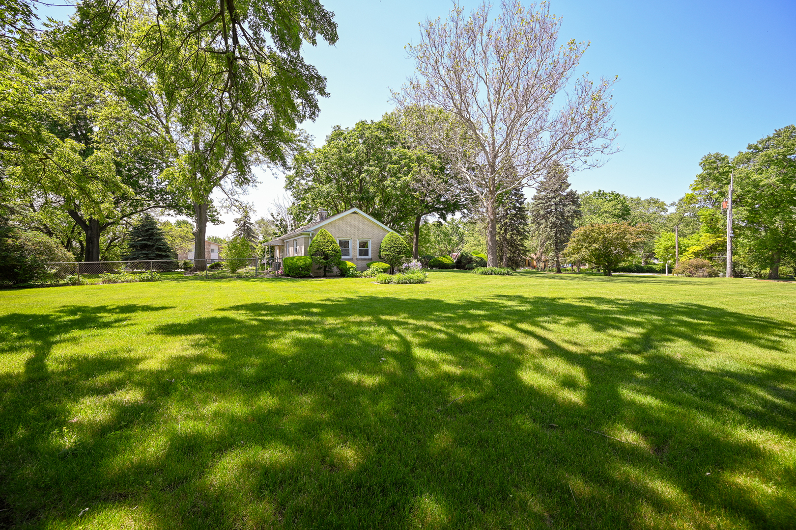 325 South Lambert Road Glen Ellyn, IL 60137 - Photo 25 of 32 a view of a tree in a garden