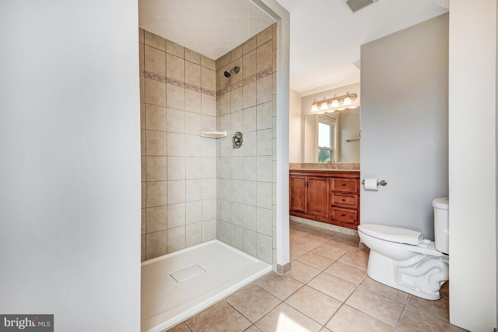 21521 Peach Tree Road Dickerson, MD 20842 - Photo 16 of 30 Full and private master bath