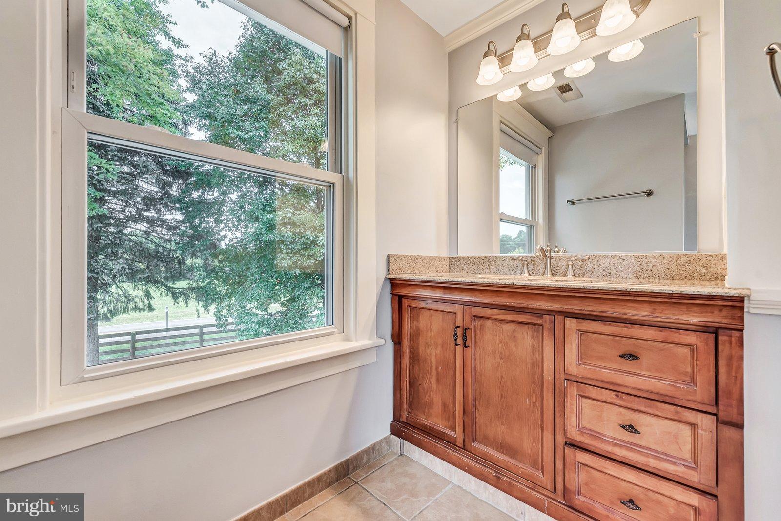 21521 Peach Tree Road Dickerson, MD 20842 - Photo 17 of 30 Bath