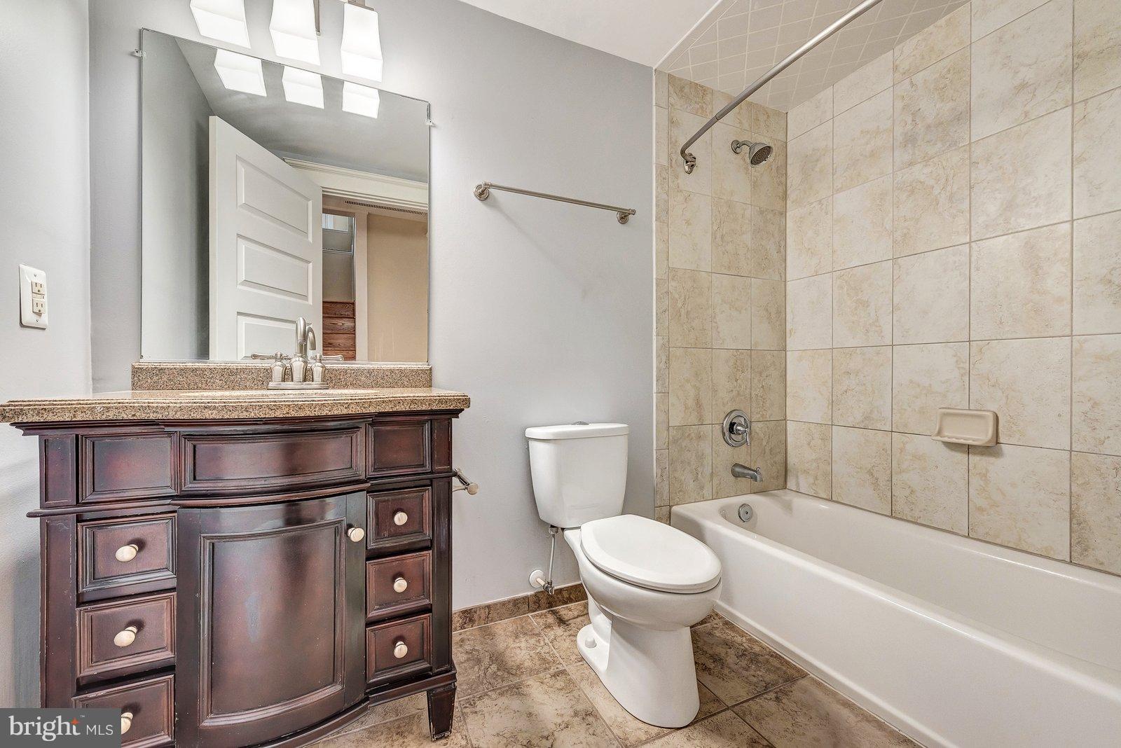 21521 Peach Tree Road Dickerson, MD 20842 - Photo 20 of 30 Hall bath---amazing and spacious