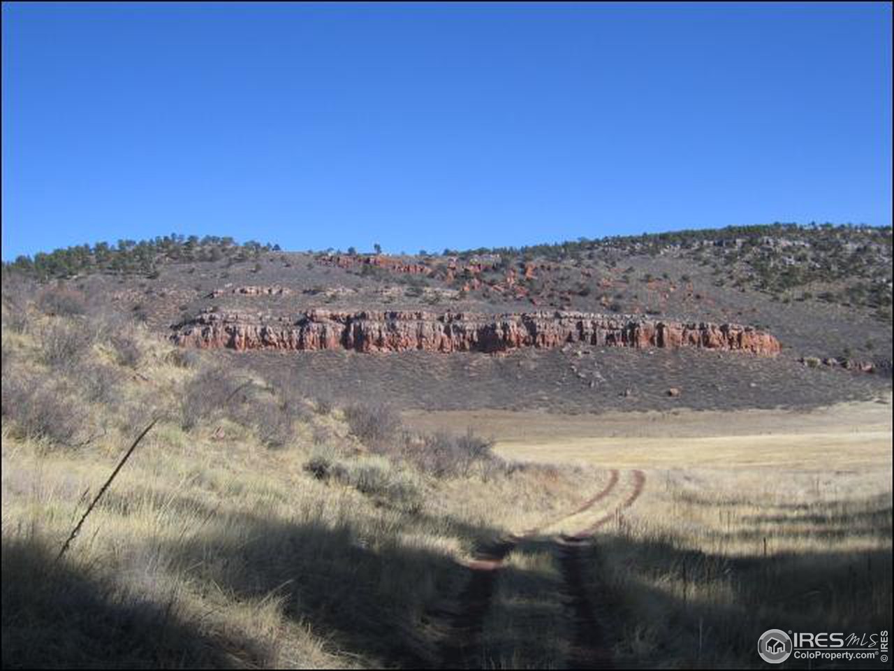 8560 Red Mountain Road Livermore, CO 80536 - Photo 4 of 7 Gallery Image 4