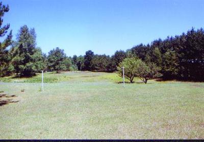 2790 River Road Manistee, MI 49660 - Photo 3 of 6 Additional Photo