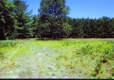 2790 River Road Manistee, MI 49660 - Photo 5 of 6 Additional Photo