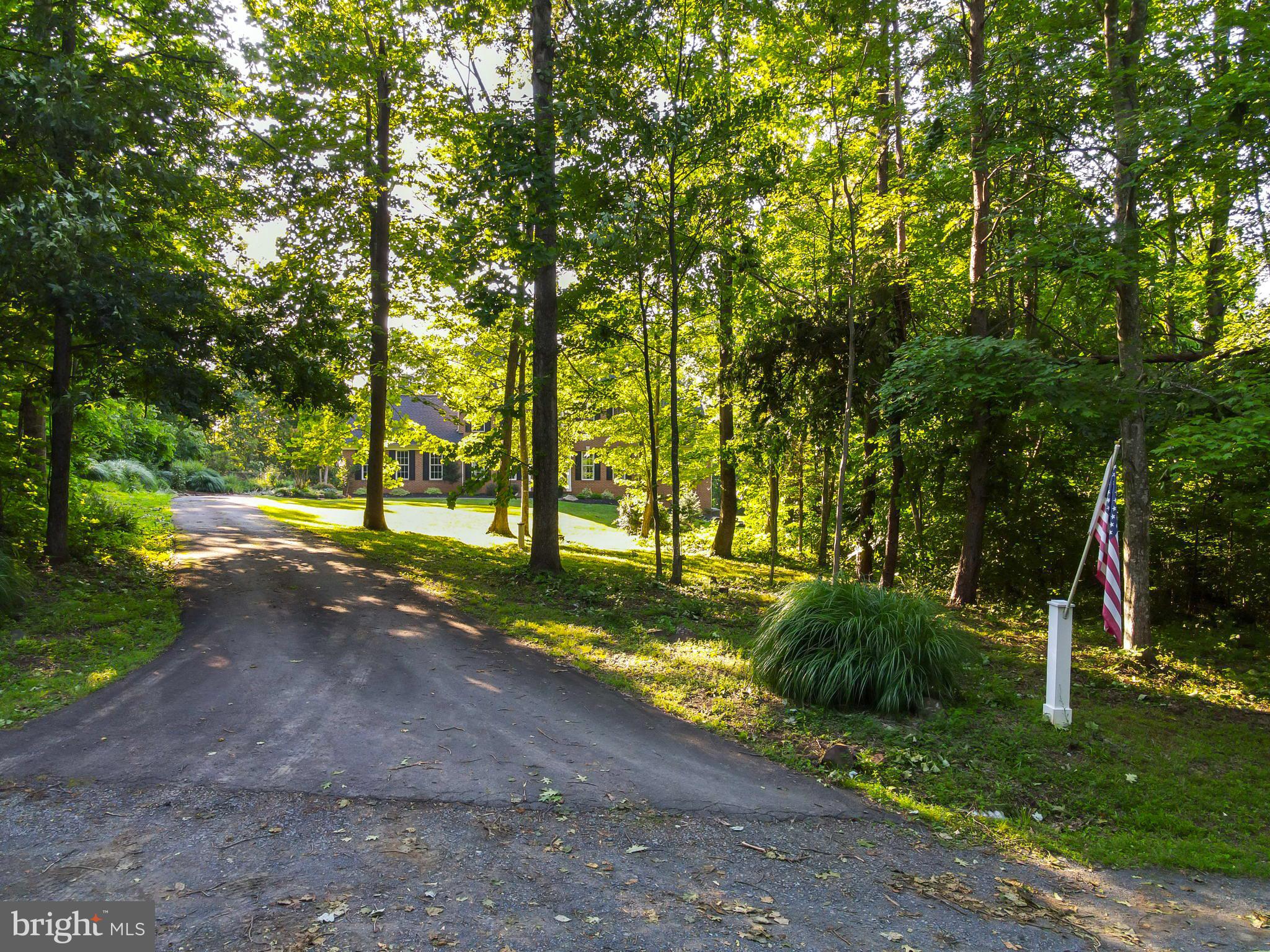 7163 Pine Ridge Road Marshall, VA 20115 - Photo 3 of 66 Paved Driveway Leads to Pristine 5BR/3.55BA Home