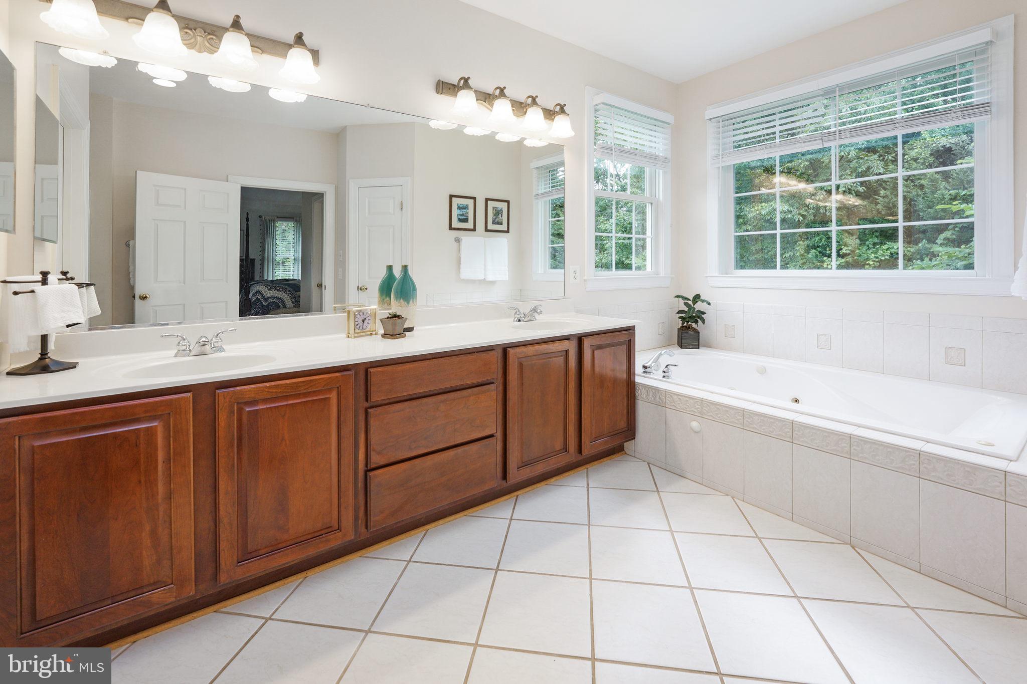 7163 Pine Ridge Road Marshall, VA 20115 - Photo 38 of 66 Sunlit Owner's Bath with Double Vanities