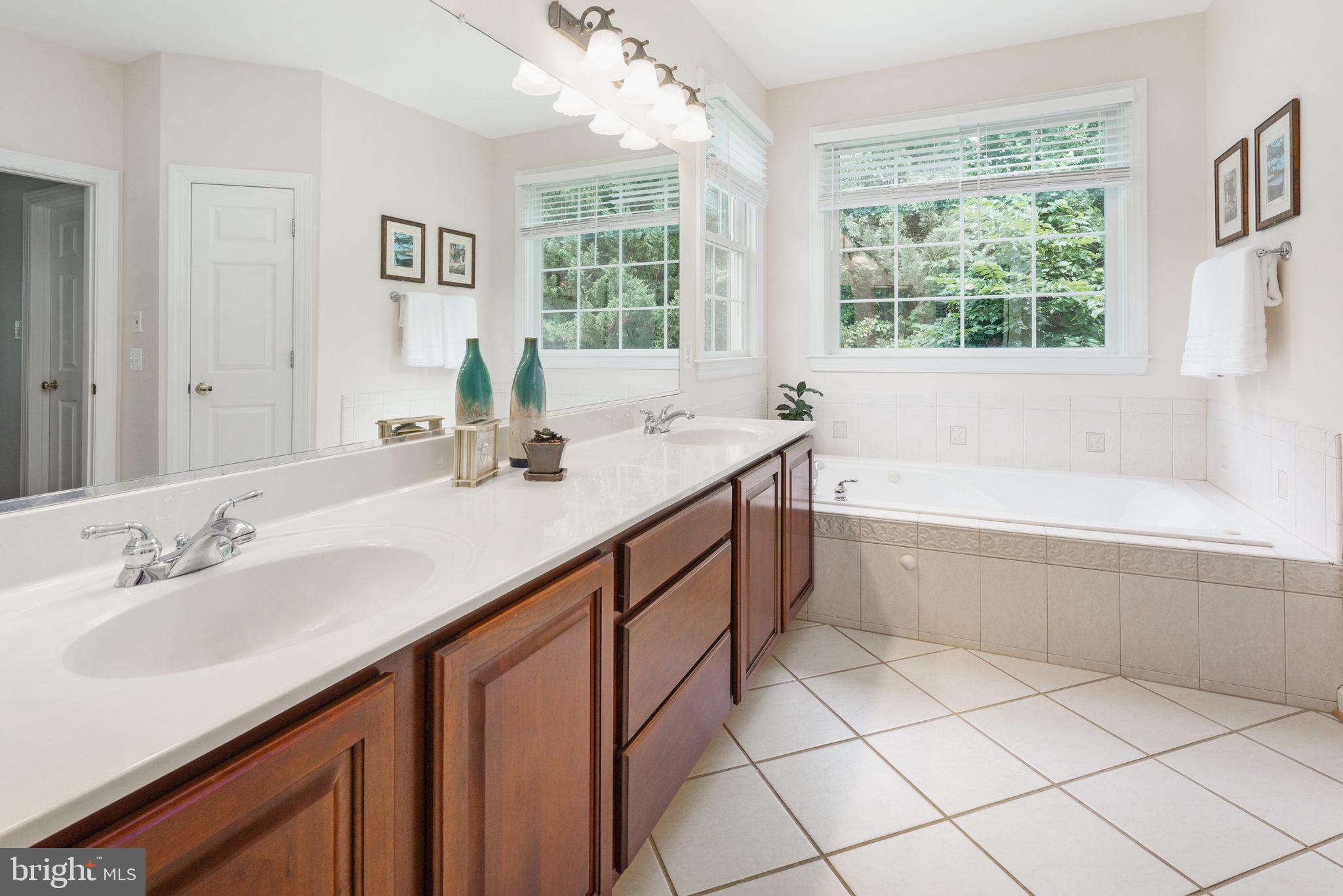 7163 Pine Ridge Road Marshall, VA 20115 - Photo 39 of 66 Owner's Bath with Large Jetted Tub