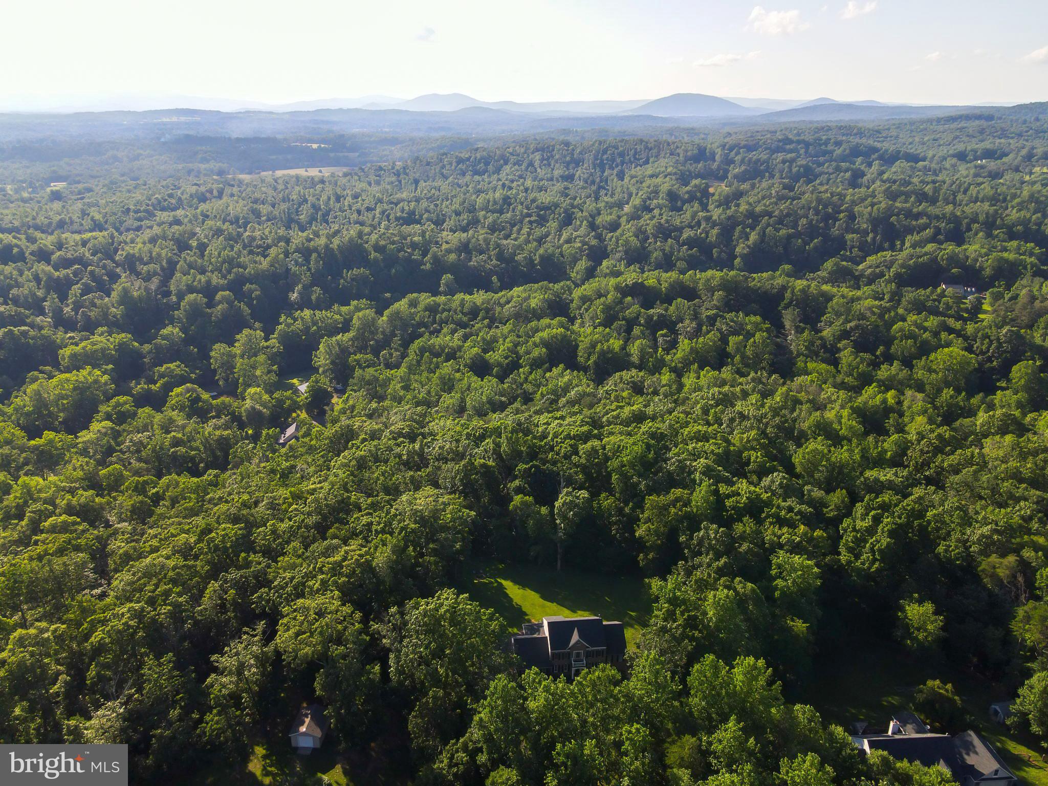 7163 Pine Ridge Road Marshall, VA 20115 - Photo 4 of 66 Private 5.06-Acre Lot Among Rolling Foothills