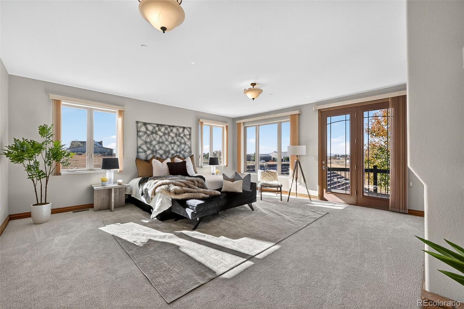 11631 Dunrich Road Parker, CO 80138 - Photo 19 of 50