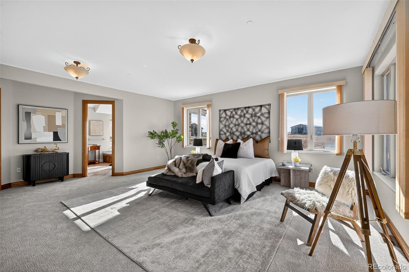 11631 Dunrich Road Parker, CO 80138 - Photo 20 of 50