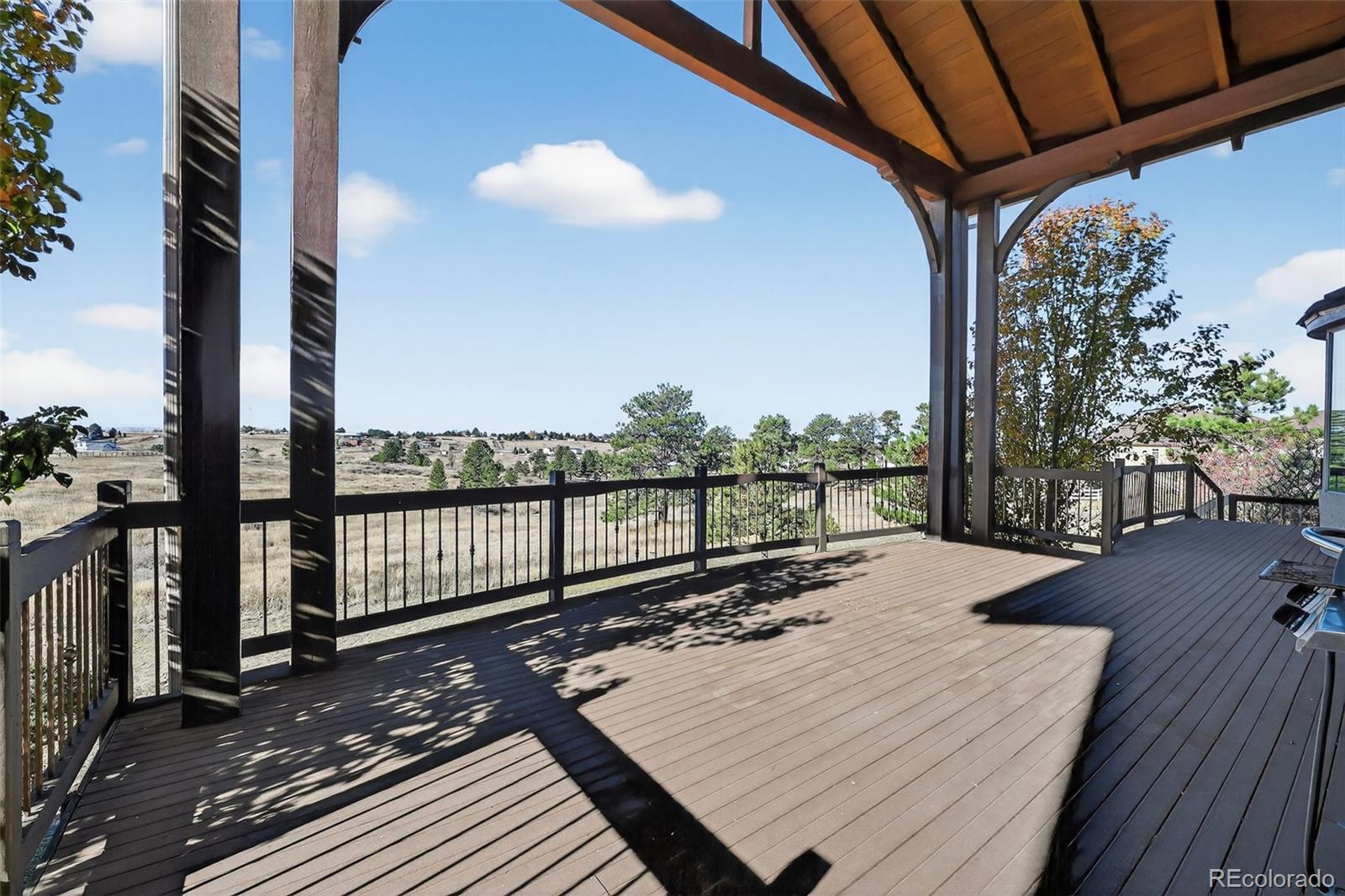 11631 Dunrich Road Parker, CO 80138 - Photo 44 of 50