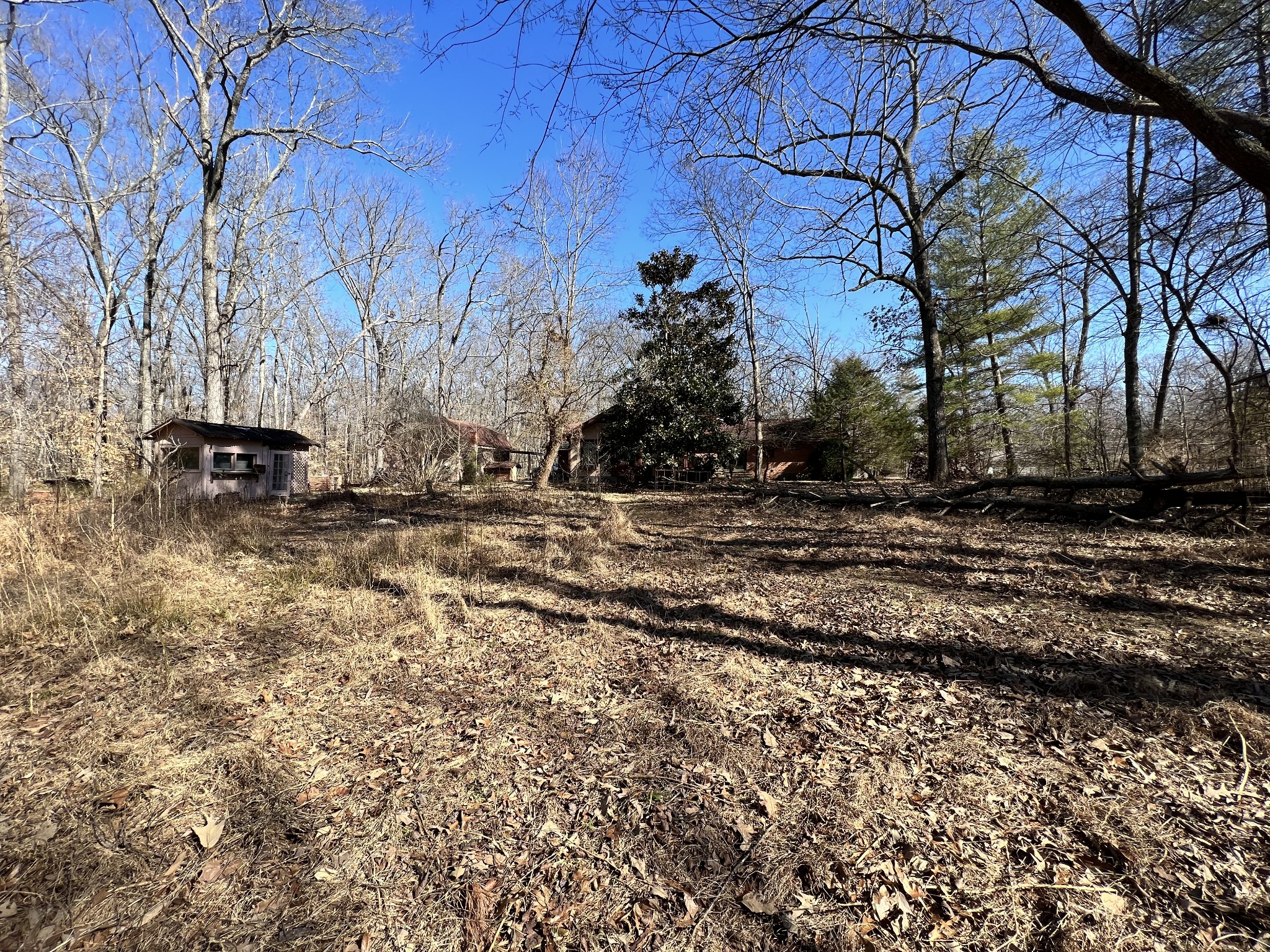 499 Willow Oak Road Manchester, TN 37355 - Photo 22 of 26 a view of outdoor space with trees