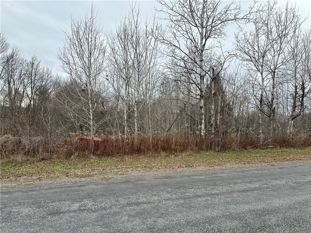 Kostenko Sutton Road Pitcher, NY 13136 - Photo 2 of 7