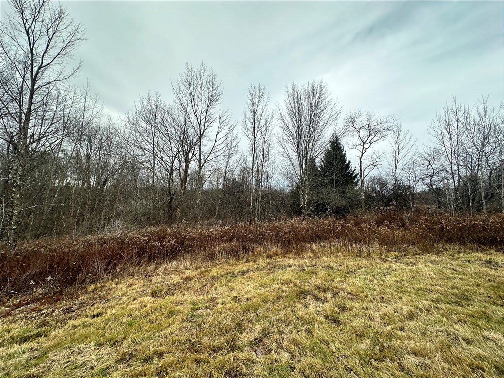 Kostenko Sutton Road Pitcher, NY 13136 - Photo 5 of 7