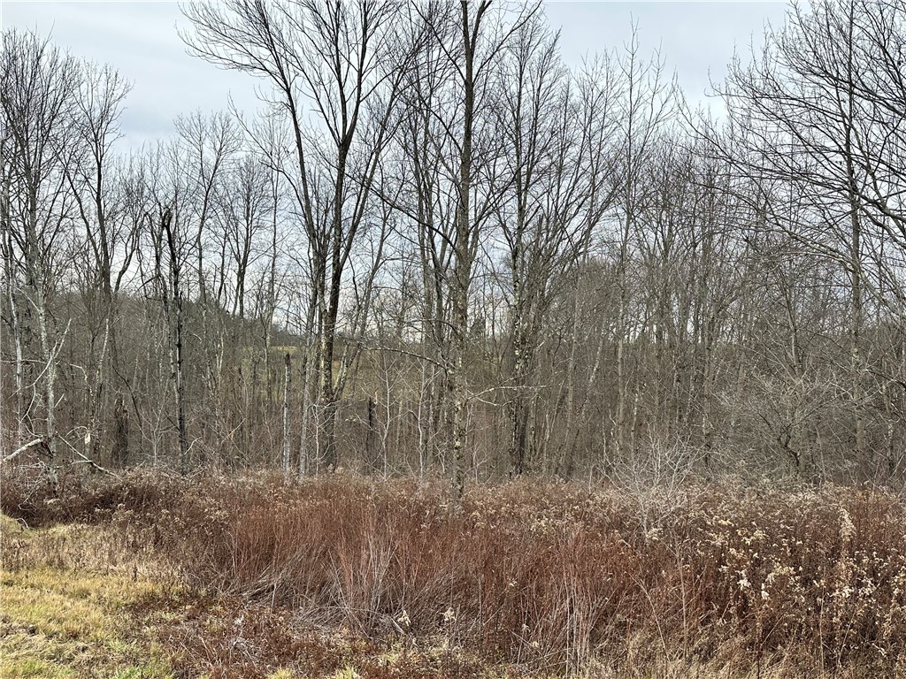 Kostenko Sutton Road Pitcher, NY 13136 - Photo 7 of 7