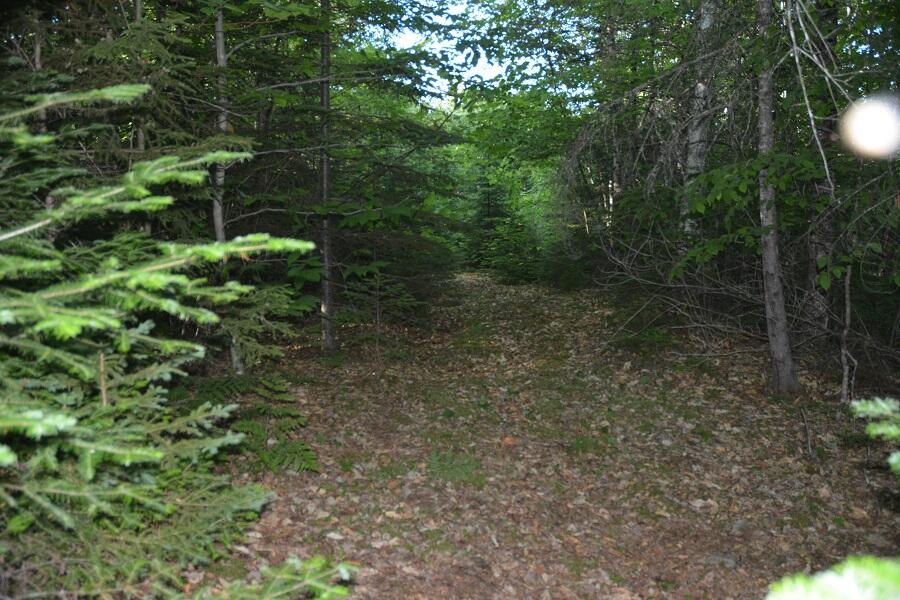 115 Burns Road Moscow, ME 04920 - Photo 9 of 18 115 Burns rd pic 17