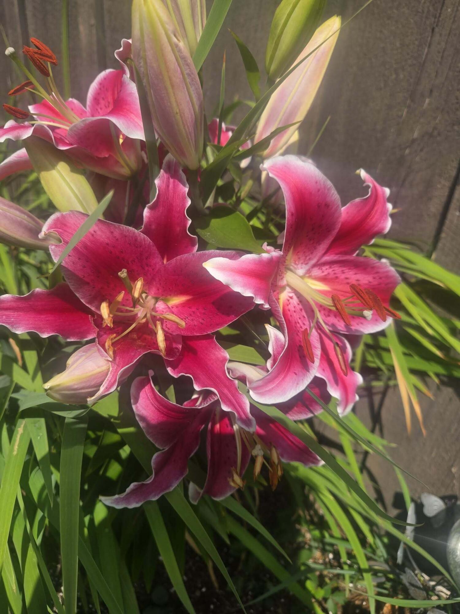 11 Hunton Loop Livermore Falls, ME 04254 - Photo 33 of 39 5a3b88cc-65cf-4a9a-81c3-b68a7fd94340