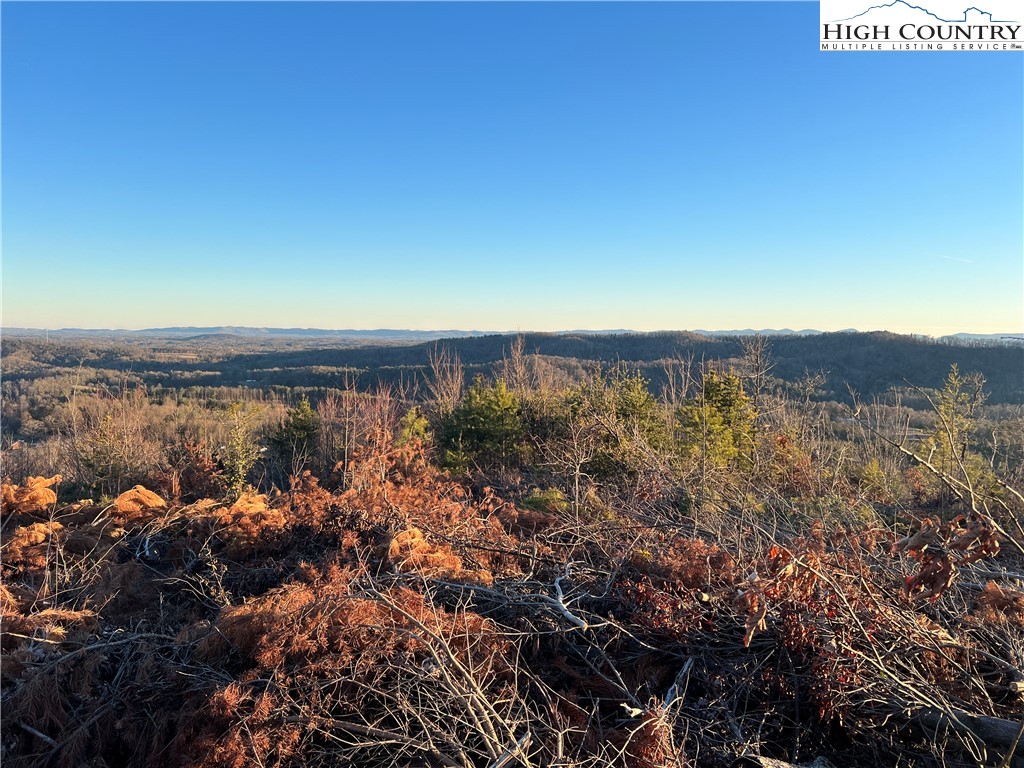 14 Blackberry Ridge Hays, NC 28635 - Photo 6 of 10
