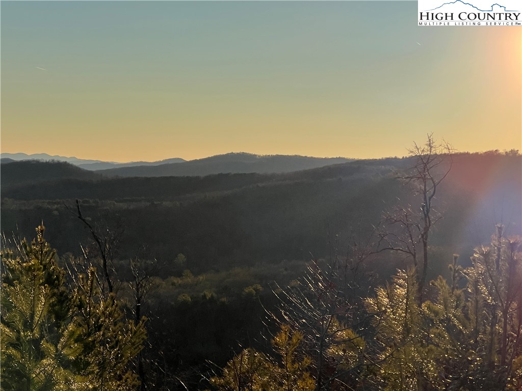 14 Blackberry Ridge Hays, NC 28635 - Photo 8 of 10