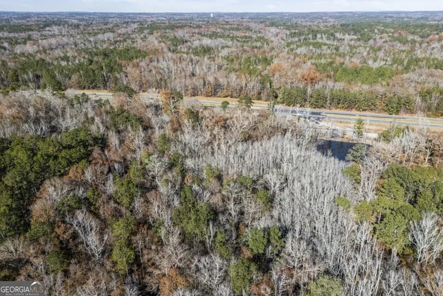 an aerial view of forest