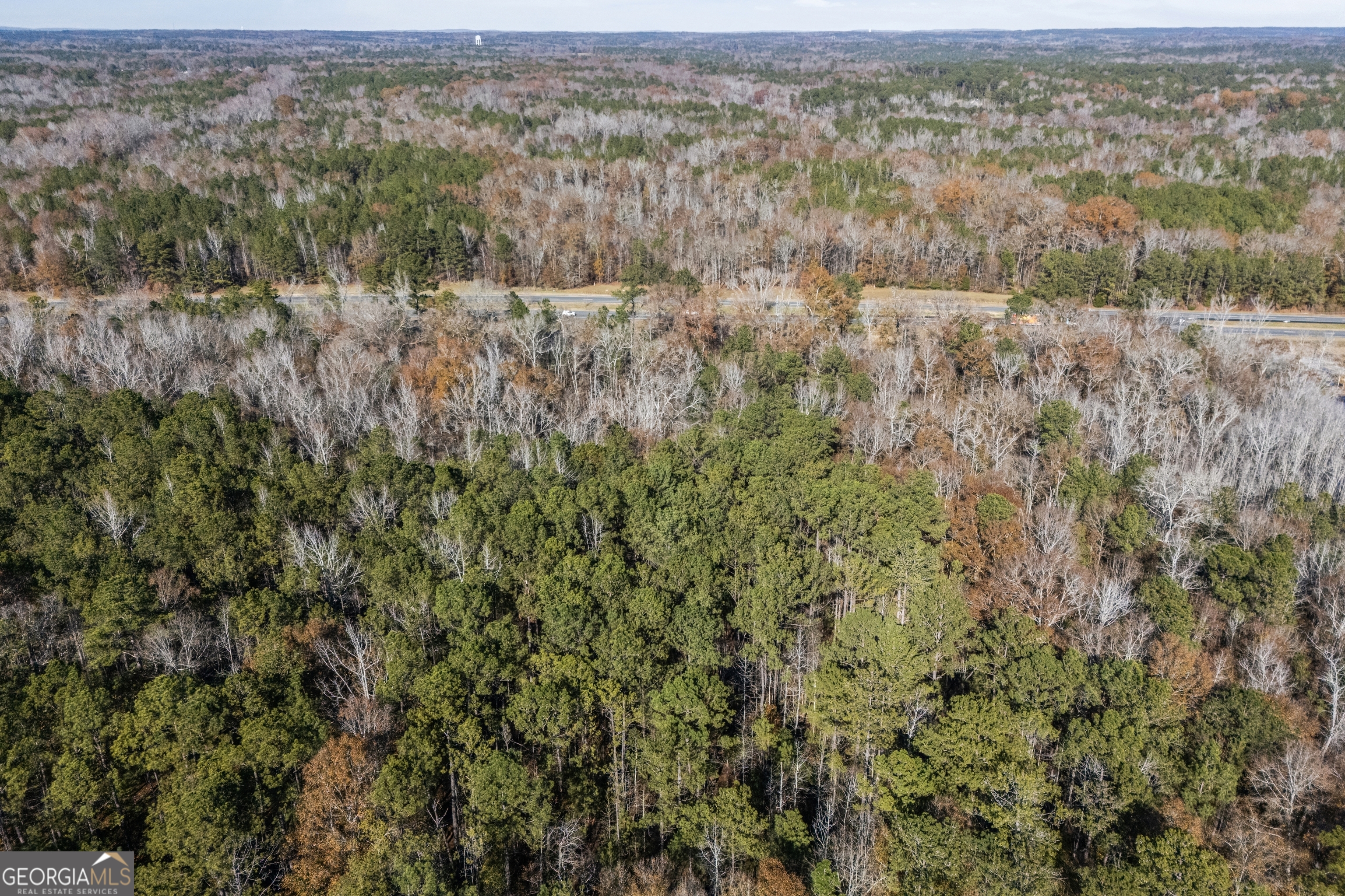 4057 Pope Road Midland, GA 31820 - Photo 6 of 15 an aerial view of forest