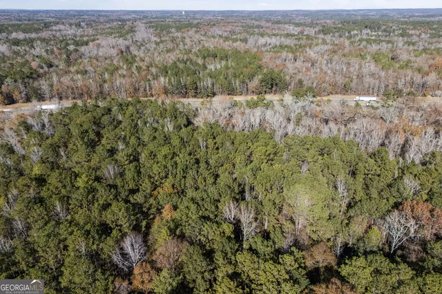 an aerial view of forest