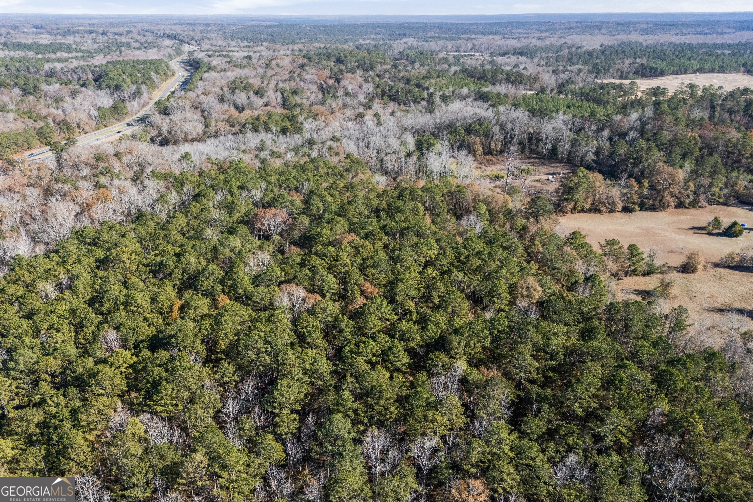 4057 Pope Road Midland, GA 31820 - Photo 9 of 15 an aerial view of forest