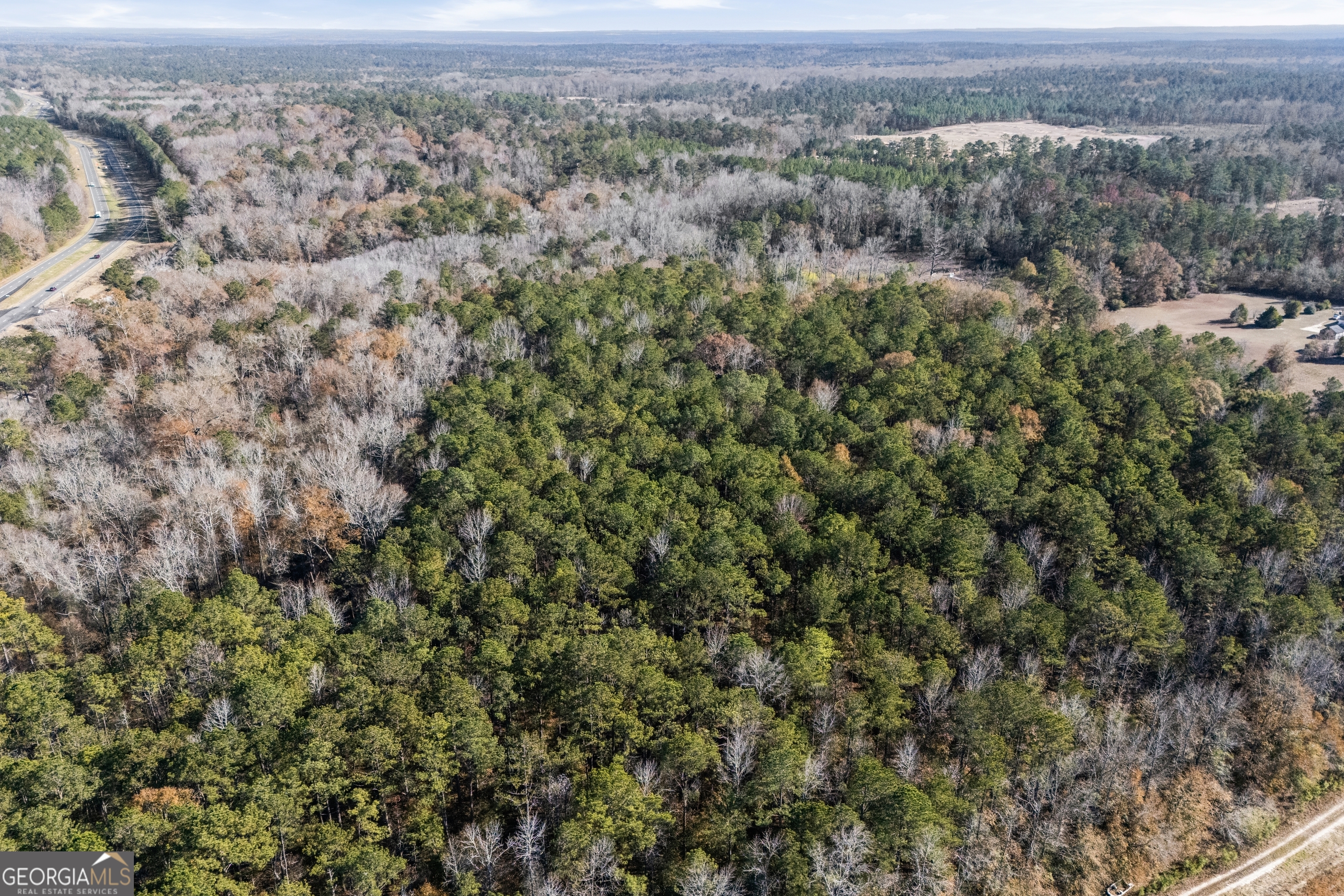 4057 Pope Road Midland, GA 31820 - Photo 10 of 15 an aerial view of forest