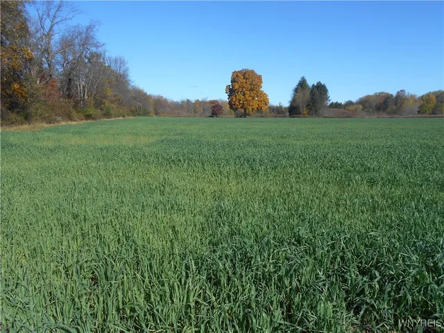 $2,750,000 | North State Road, Hamburg, NY 14075