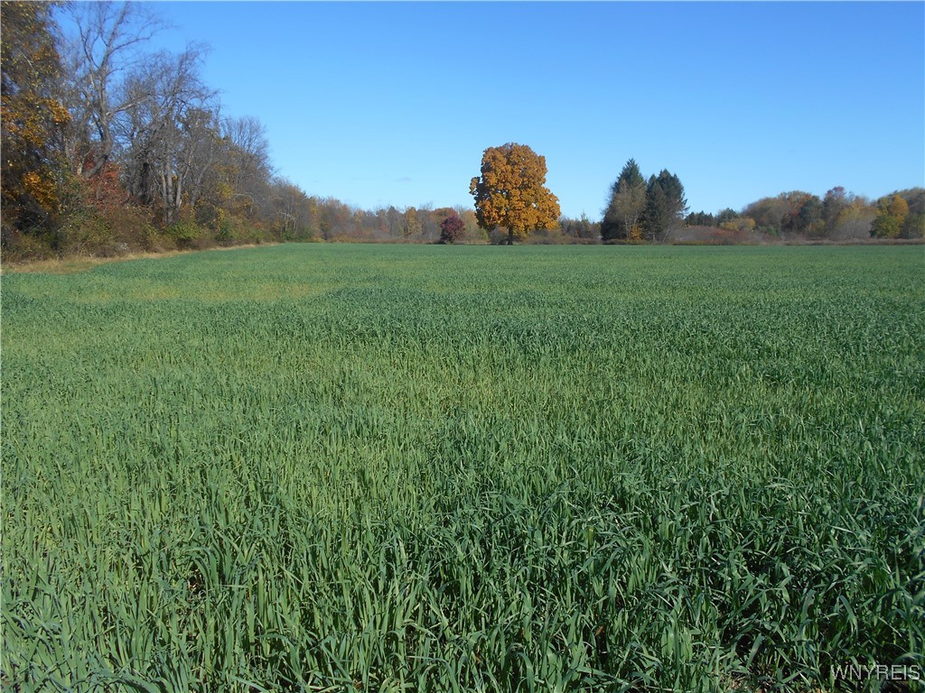 North State Road Hamburg, NY 14075 - Photo 13 of 34