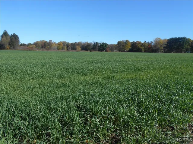 $2,750,000 | North State Road, Hamburg, NY 14075