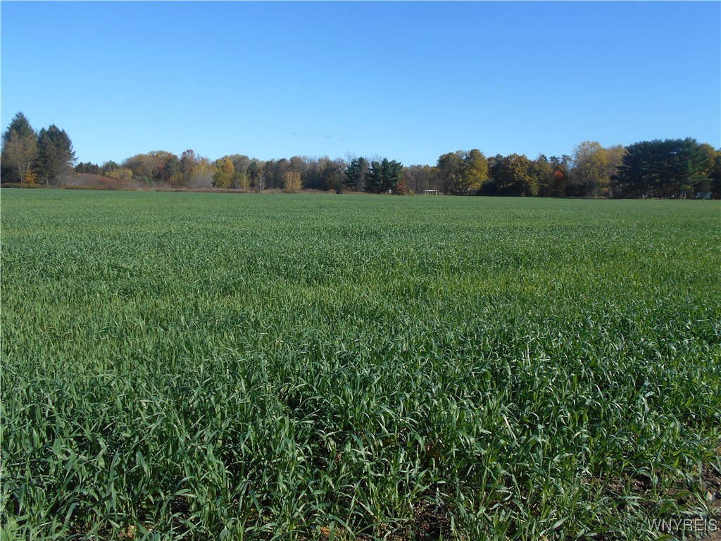 North State Road Hamburg, NY 14075 - Photo 14 of 34