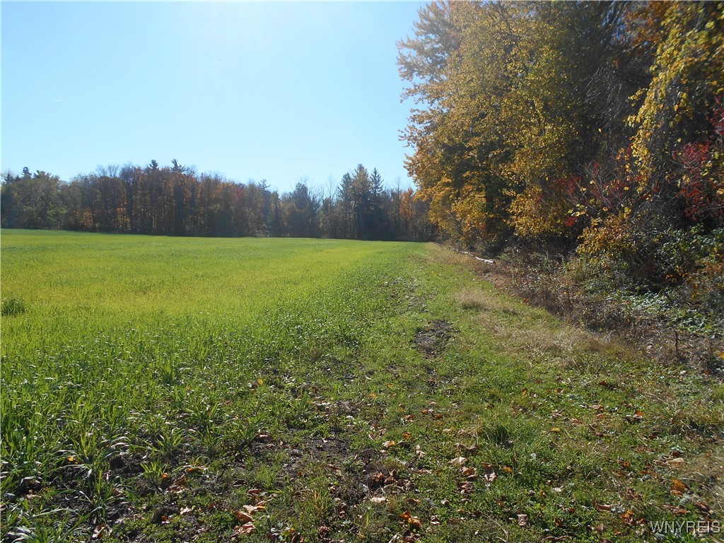 North State Road Hamburg, NY 14075 - Photo 16 of 34