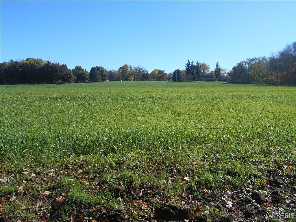 North State Road Hamburg, NY 14075 - Photo 17 of 34