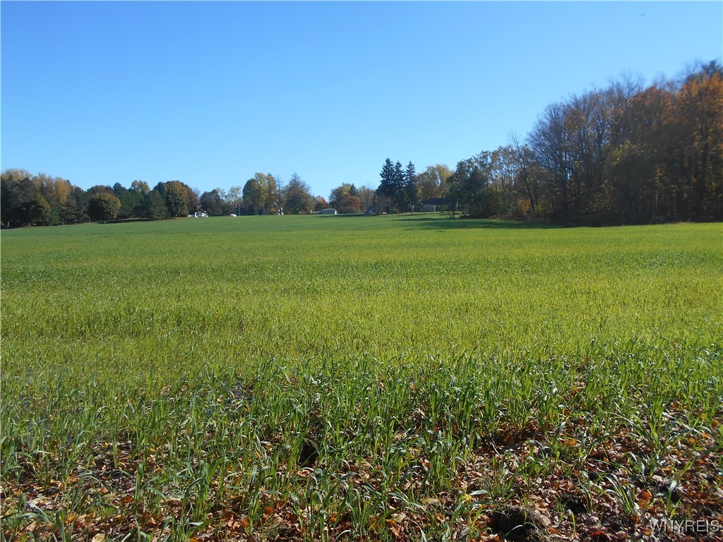 North State Road Hamburg, NY 14075 - Photo 18 of 34