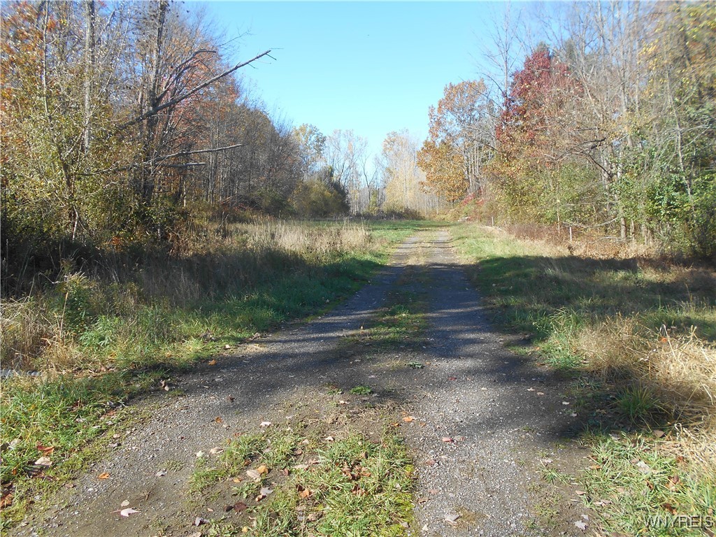 North State Road Hamburg, NY 14075 - Photo 19 of 34