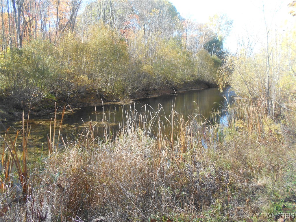 North State Road Hamburg, NY 14075 - Photo 20 of 34