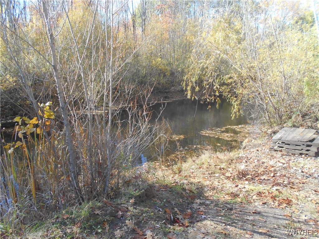 North State Road Hamburg, NY 14075 - Photo 21 of 34