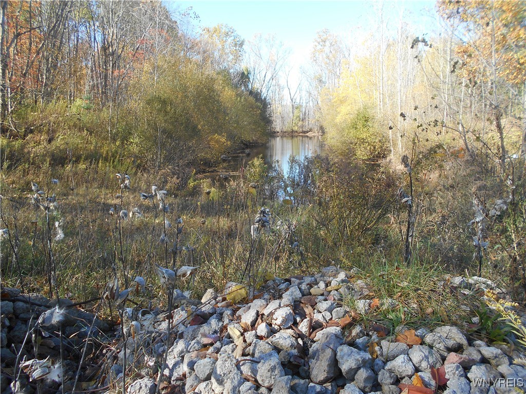 North State Road Hamburg, NY 14075 - Photo 22 of 34