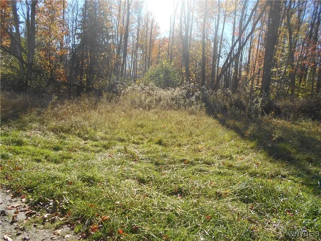 $2,750,000 | North State Road, Hamburg, NY 14075