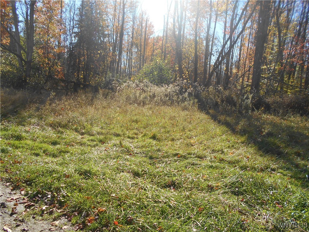 North State Road Hamburg, NY 14075 - Photo 24 of 34