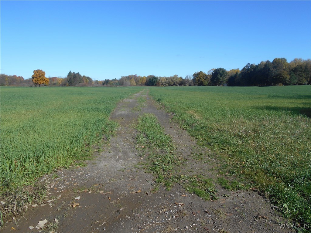 North State Road Hamburg, NY 14075 - Photo 26 of 34