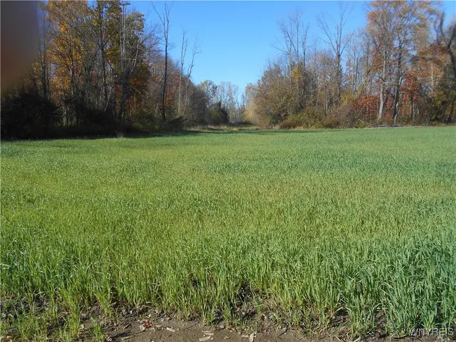 $2,750,000 | North State Road, Hamburg, NY 14075